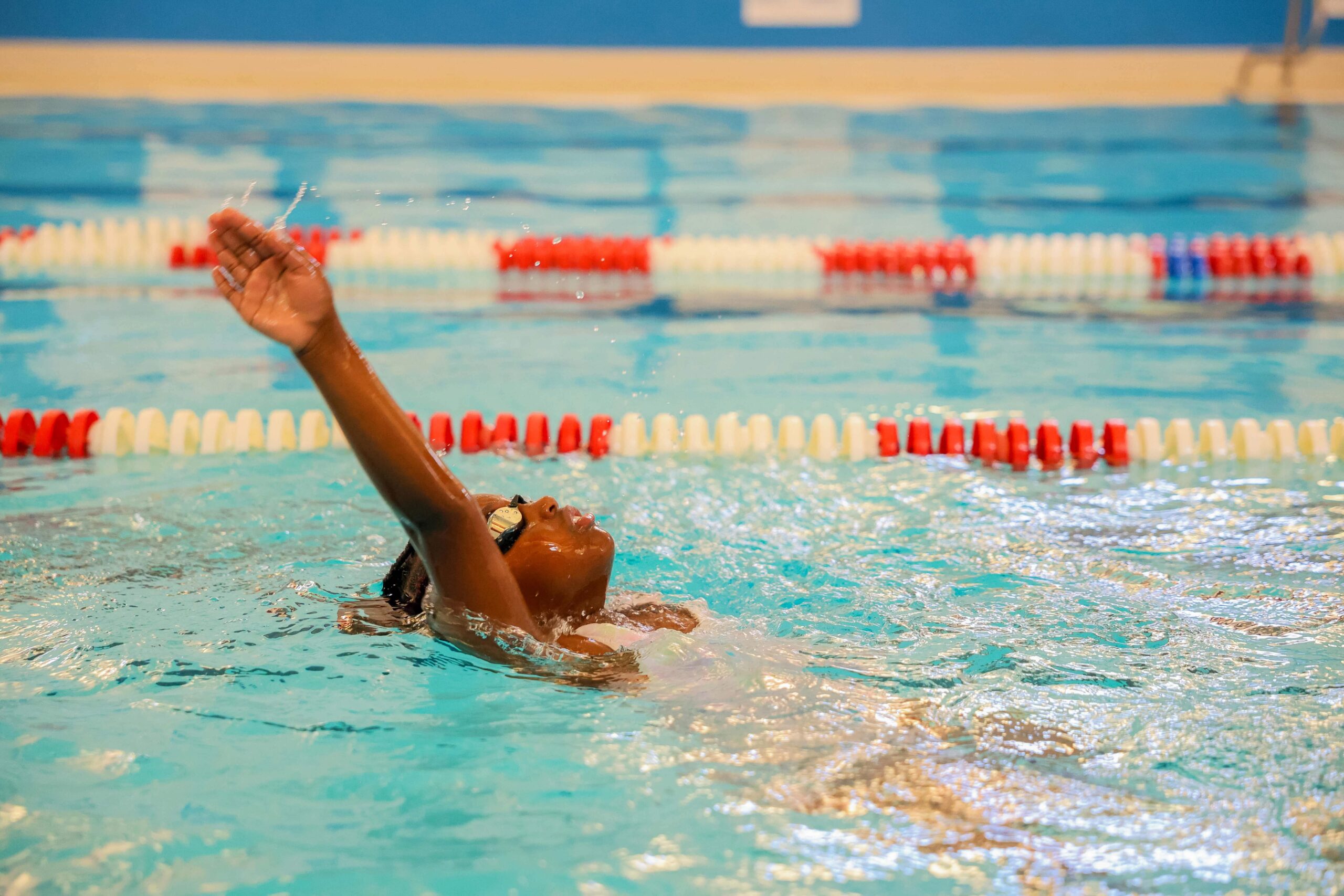 Enrichment swim2 scaled